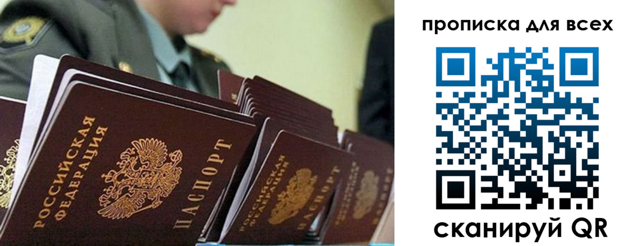 прописка гарантия в Димитровграде